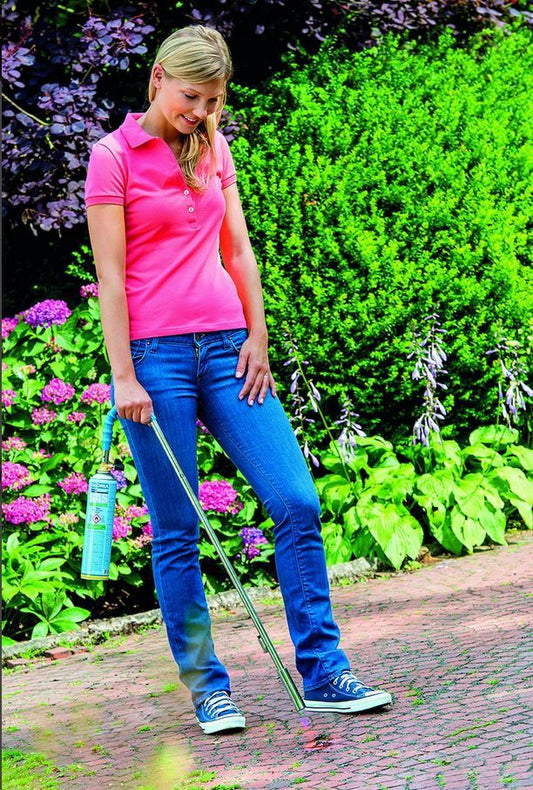 arzator-buruieni-gaz-thermoflamm-bio-clasic-gloria