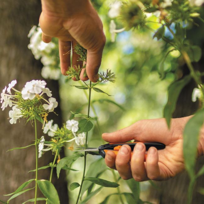 Foarfeca pentru flori Solidâ„¢ Micro-tip SP13, Fiskars 1051600