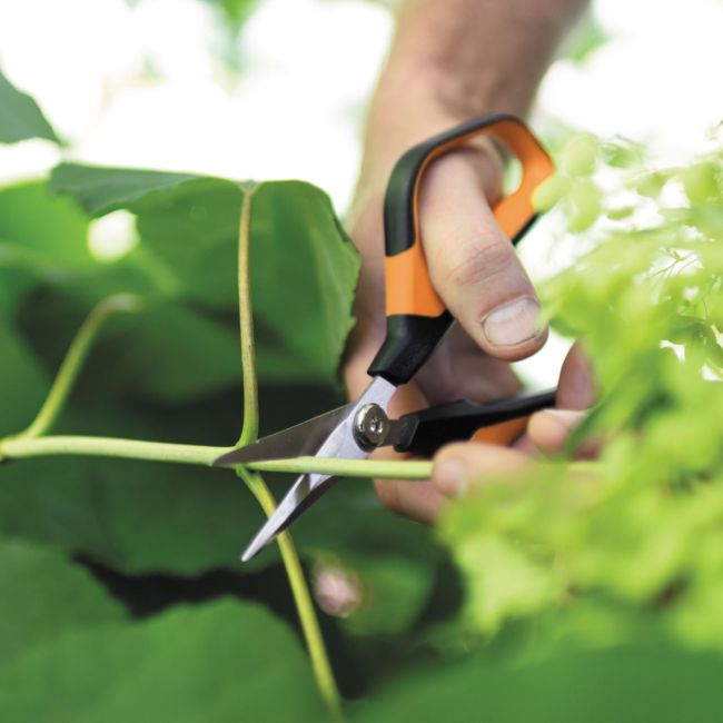 Foarfeca pentru flori Solidâ„¢ Micro-tip SP15, Fiskars 1051602