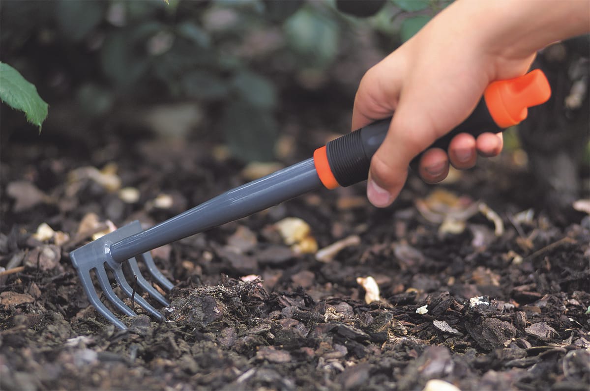 Grebla pentru flori 5 dinti, Stocker 2012