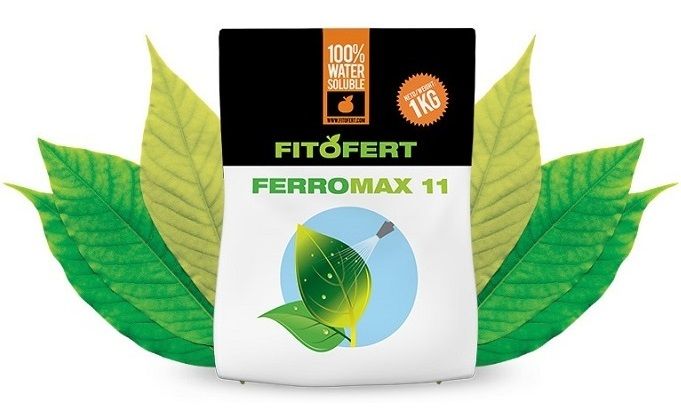 Ingrasamant foliar Ferro Max 11 (200 g), Fitofert