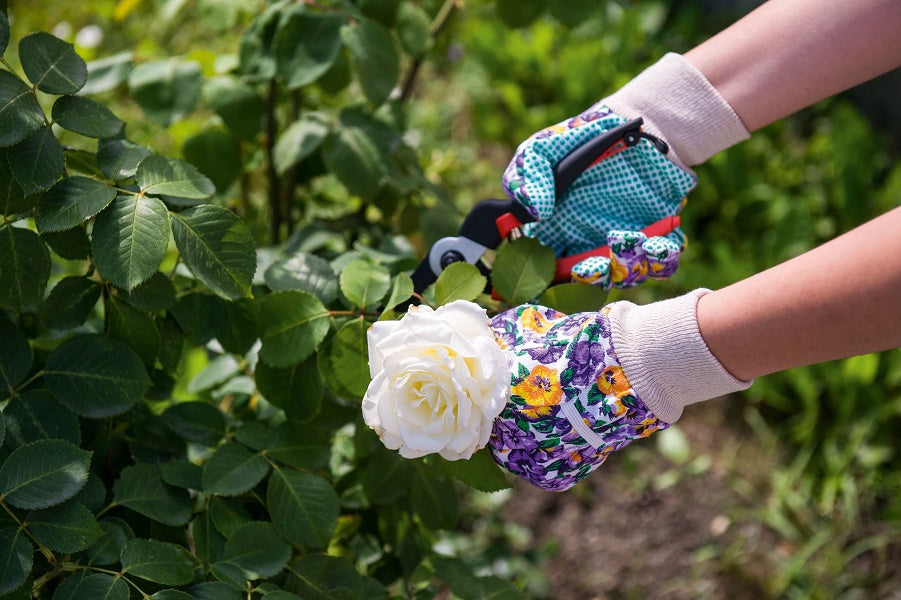 Manusi de gradina de dama 7/XS, Stocker 22053