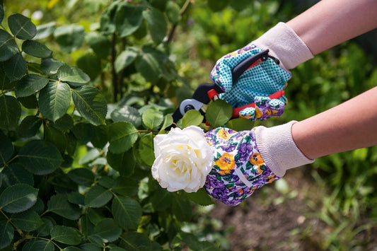 Manusi de gradina de dama 9/M, Stocker 22055