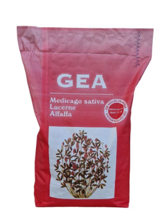 Samanta de lucerna pura certificata GEA (10 Kg)