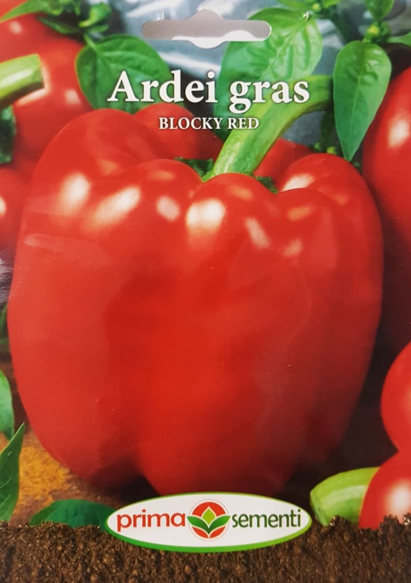 Seminte ardei gras Blocky Red (1 g), Prima Sementi