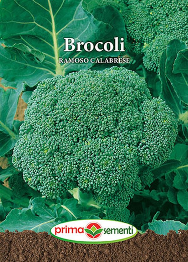 Seminte broccoli Ramoso Calabrese (1 g), Prima Sementi