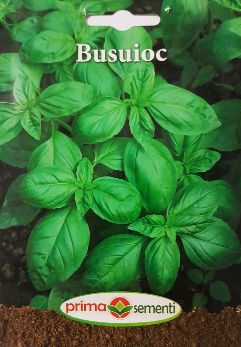seminte-busuioc-3-g-prima-sementi