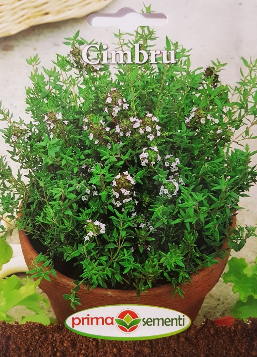 seminte-cimbru-0-6-g-prima-sementi