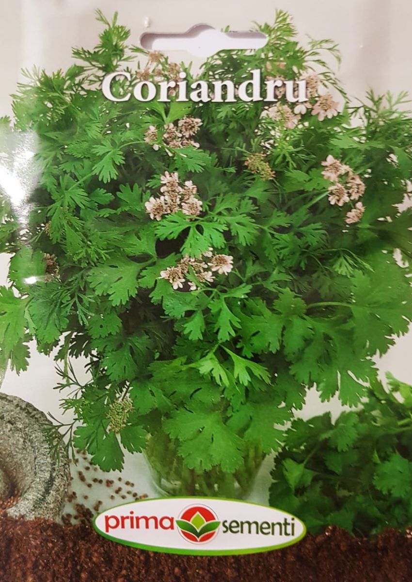 seminte-coriandru-5-g-prima-sementi