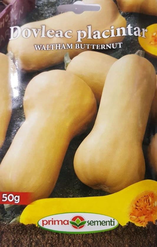 Seminte dovleac Waltham Butternut, Prima Sementi