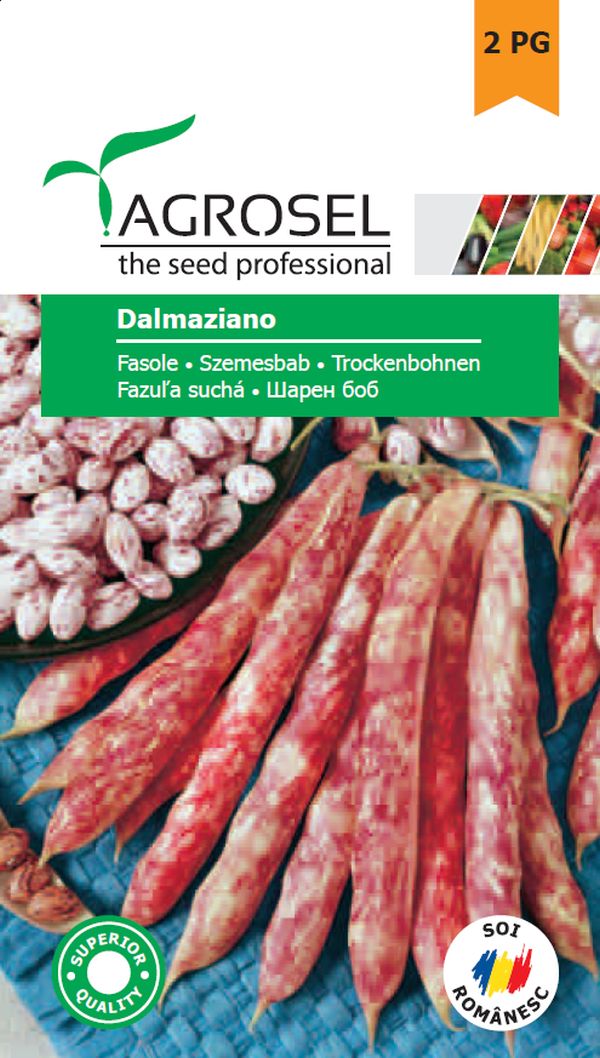 Seminte fasole boabe Dalmaziano - tip Borloto (25 kg), Agrosel