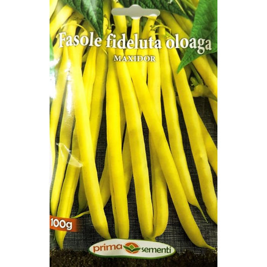 Seminte fasole fideluta Maxidor, Prima Sementi