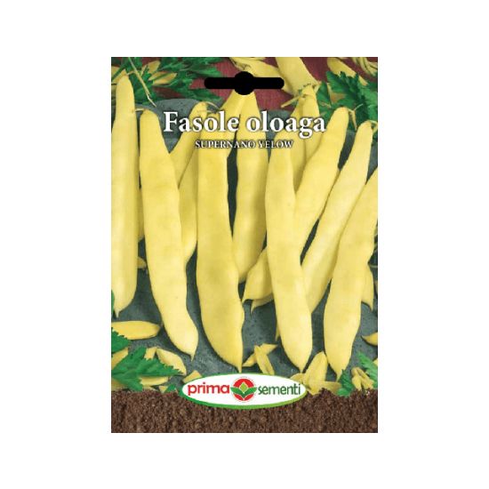 seminte-fasole-lata-galbena-supernano-yellow-prima-sementi