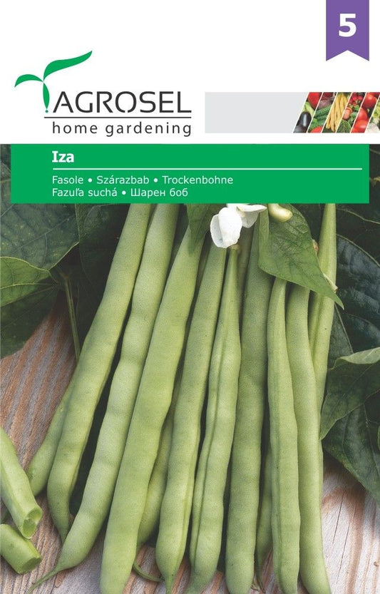 Seminte fasole pentru boabe Iza, Agrosel