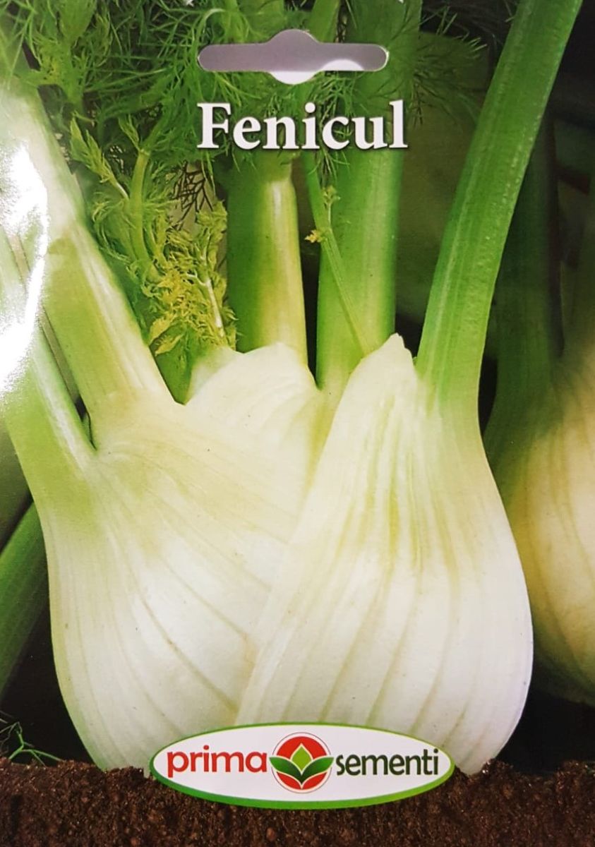 seminte-fenicul-1-5-g-prima-sementi