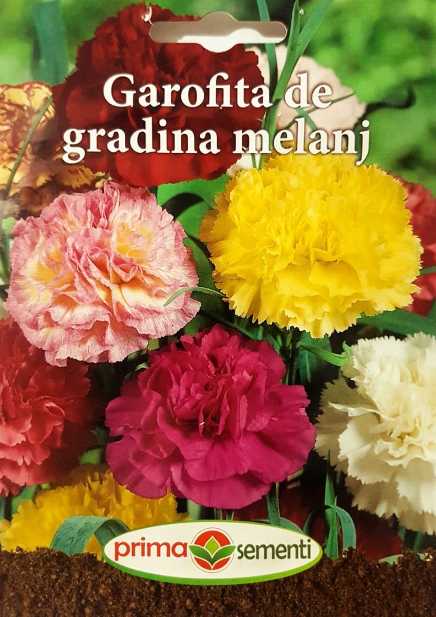 seminte-garofite-de-gradina-mix-de-culori-prima-sementi