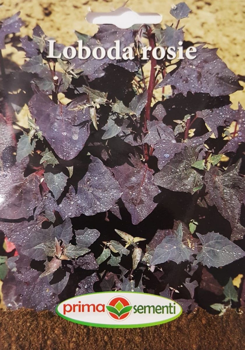 seminte-loboda-rosie-2-g-prima-sementi