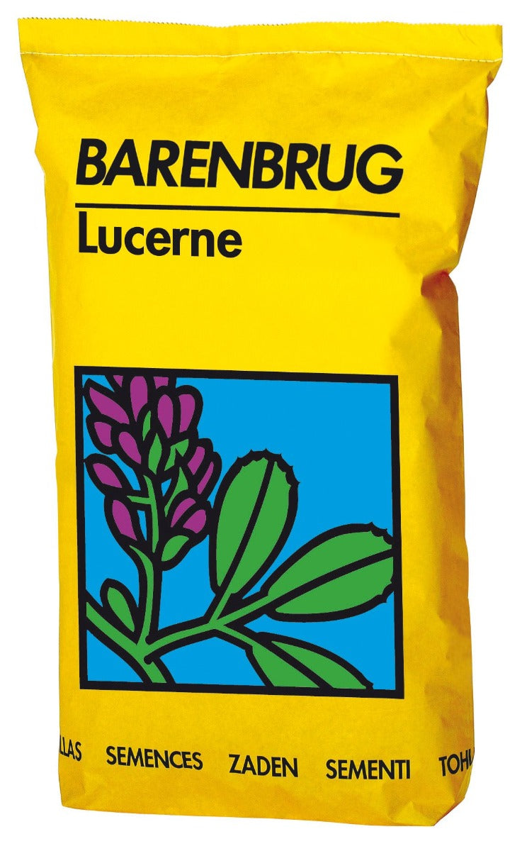 Seminte lucerna inoculata Alexis (25 kg), Barenbrug