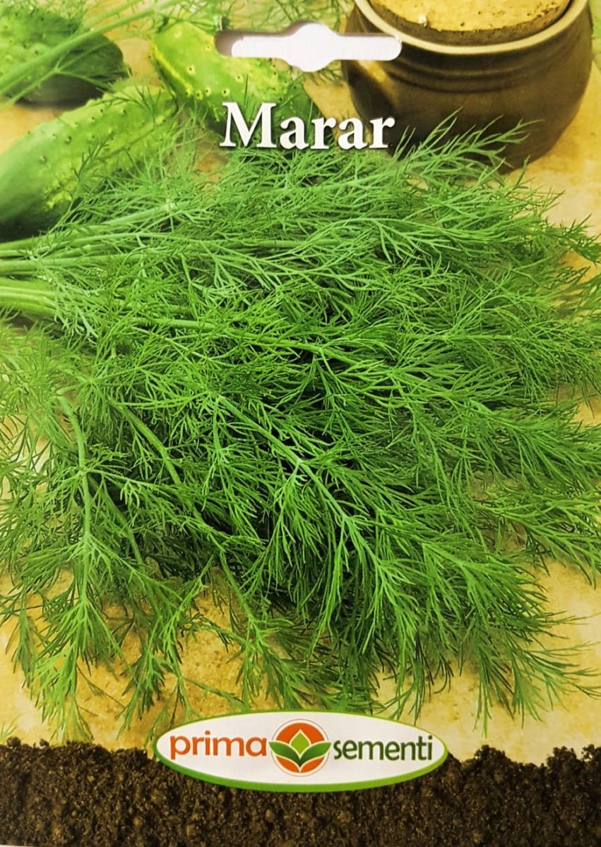 seminte-marar-2-g-prima-sementi