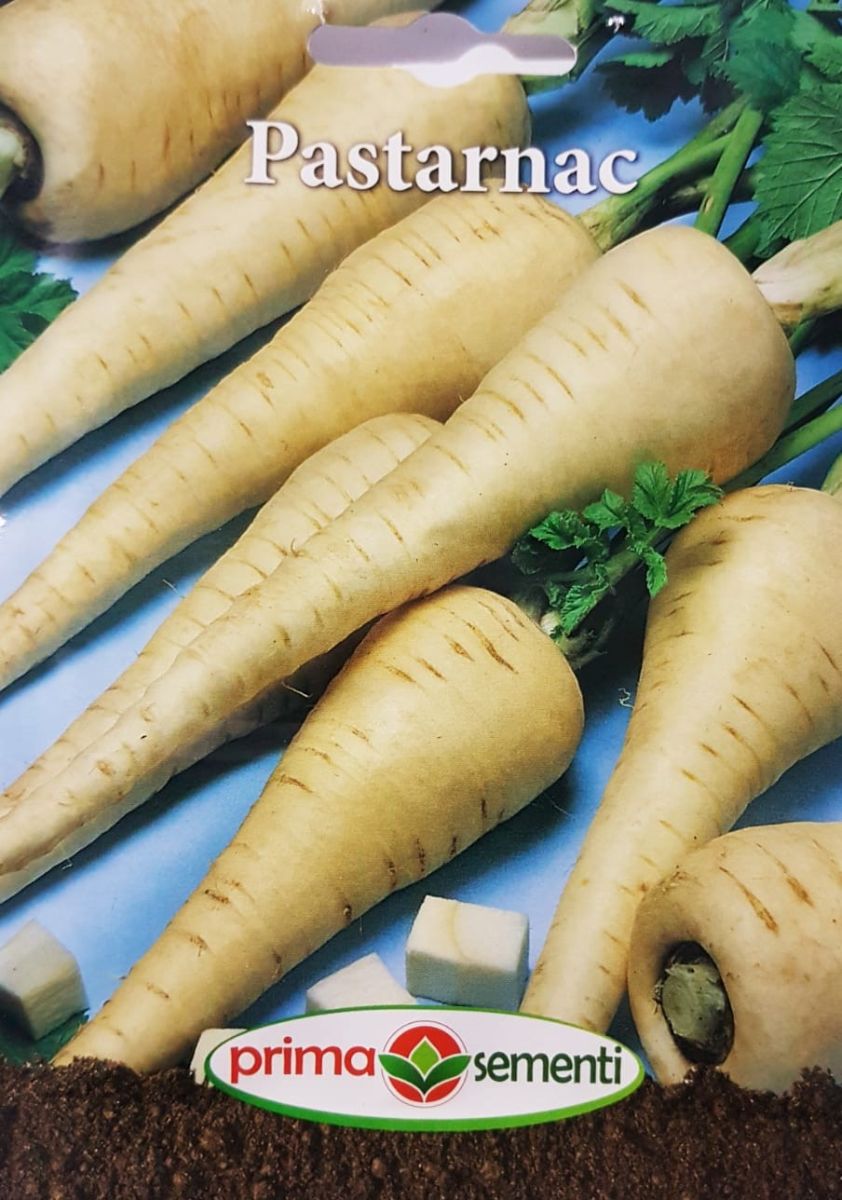 seminte-pastarnac-prima-sementi