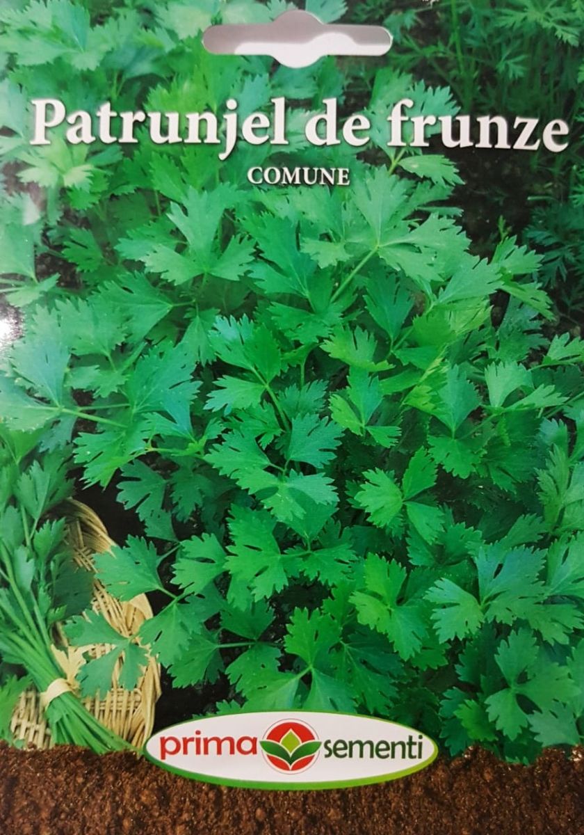 seminte-patrunjel-de-frunze-comune-5-g-prima-sementi