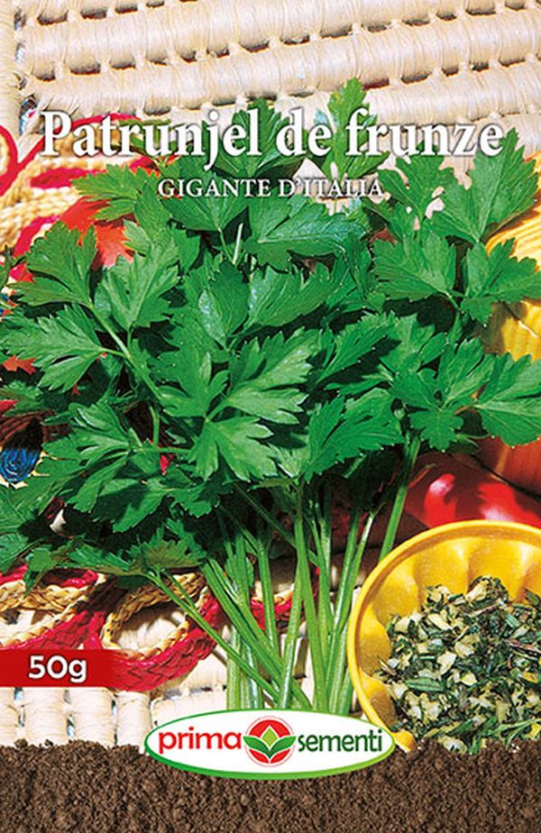 Seminte patrunjel frunze Gigante D Italia (50 g), Prima Sementi