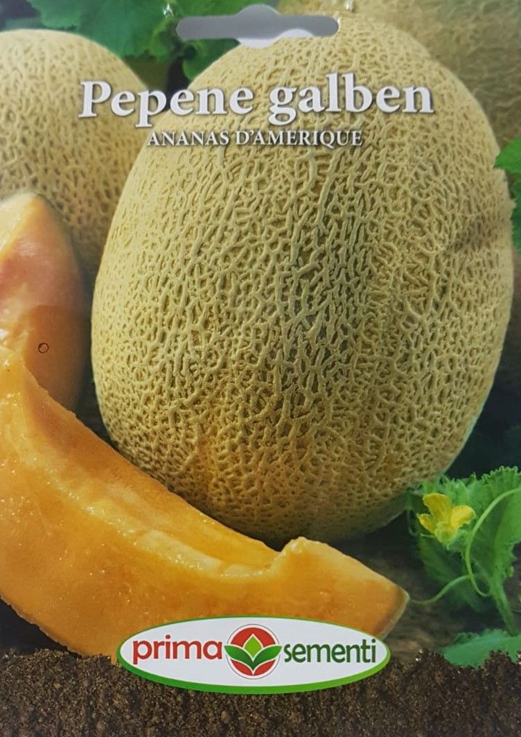 seminte-pepene-galben-ananas-d-amerique-prima-sementi
