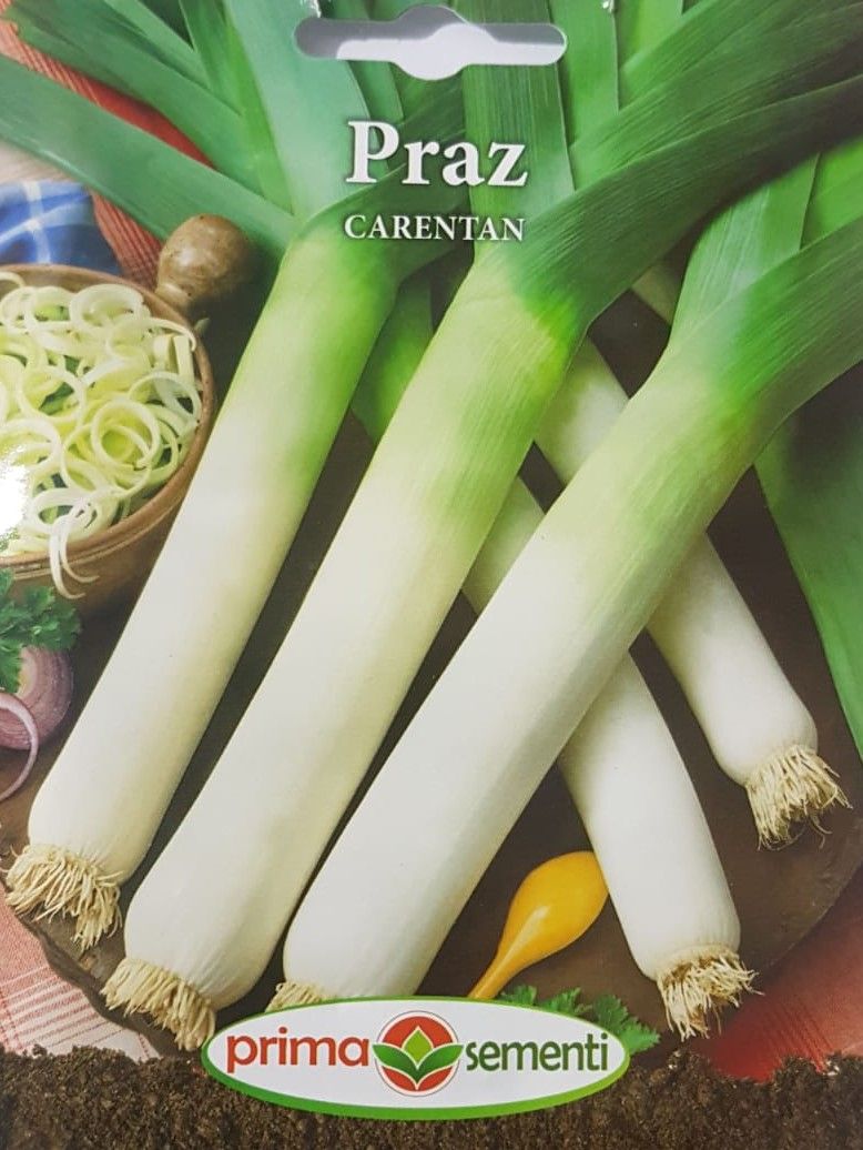 seminte-praz-carentan-prima-sementi