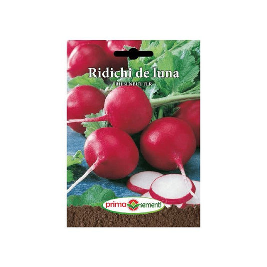 Seminte ridichi de luna Riesenbutter, Prima Sementi