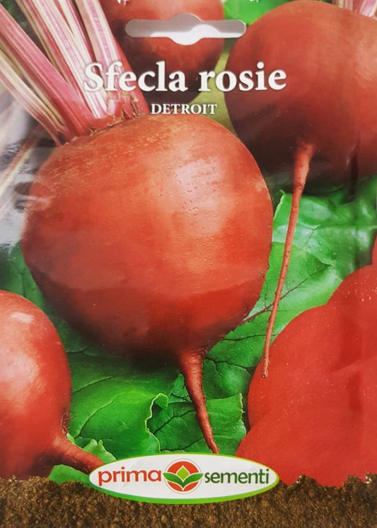 Seminte sfecla rosie Detroit, Prima Sementi