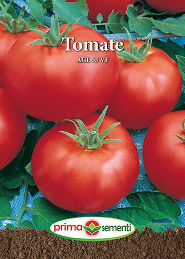 Seminte tomate Ace 55 VF (1 g), Prima Sementi