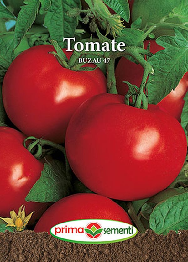 Seminte tomate de Buzau 47 (0.3 g), Prima Sementi