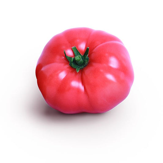 Seminte tomate Pink Sky F1, Semillas Fito