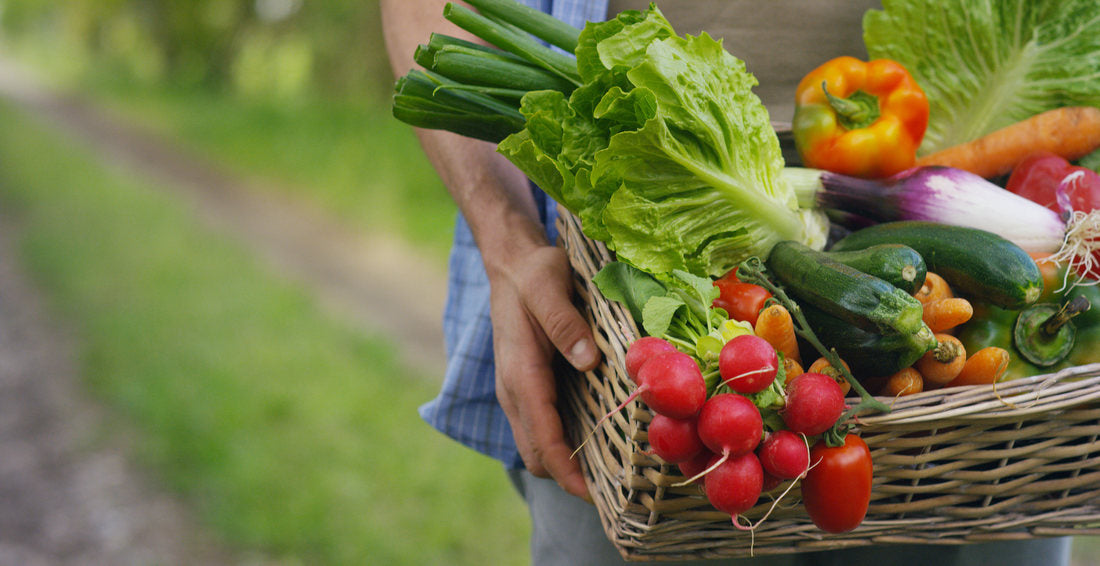 Calendar anual. Semanarea, cultivarea si recoltarea legumelor in gradina