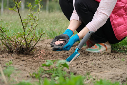 Tipuri de fertilizatori pentru gradina si livada