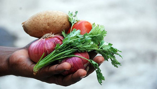 Lucrarile lunii AUGUST in gradina ta