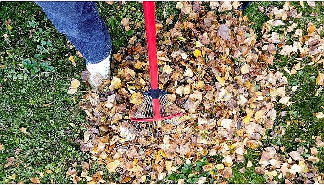 Lucrarile lunii OCTOMBRIE in gradina ta