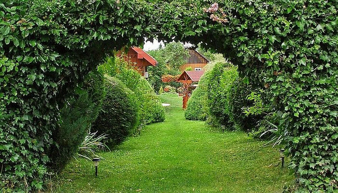 Plantarea arborilor si arbustilor ornamentali in gradina