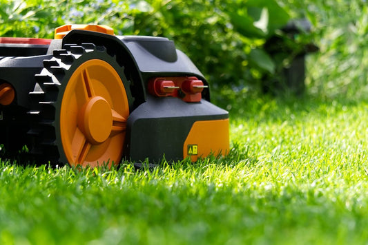 5 unelte esentiale pentru un gazon frumos si ingrijit