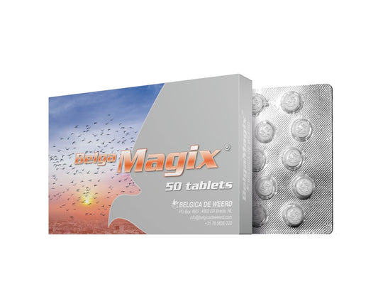 Adjuvant pentru porumbei impotriva Trichomonozei, Coccidiozei si Hexamitiazei Belga Magix (50 tablete), Belgica De Weerd