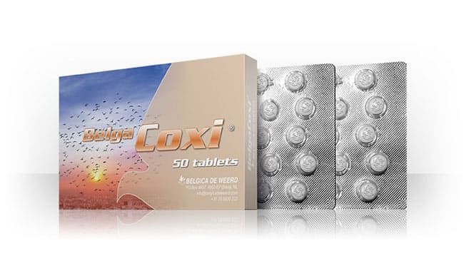 Adjuvant veterinar pentru porumbei impotriva Coccidiozelor Belga Coxi (50 tablete), Belgica De Weerd