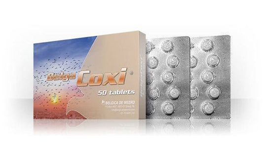 Adjuvant veterinar pentru porumbei impotriva Coccidiozelor Belga Coxi (50 tablete), Belgica De Weerd