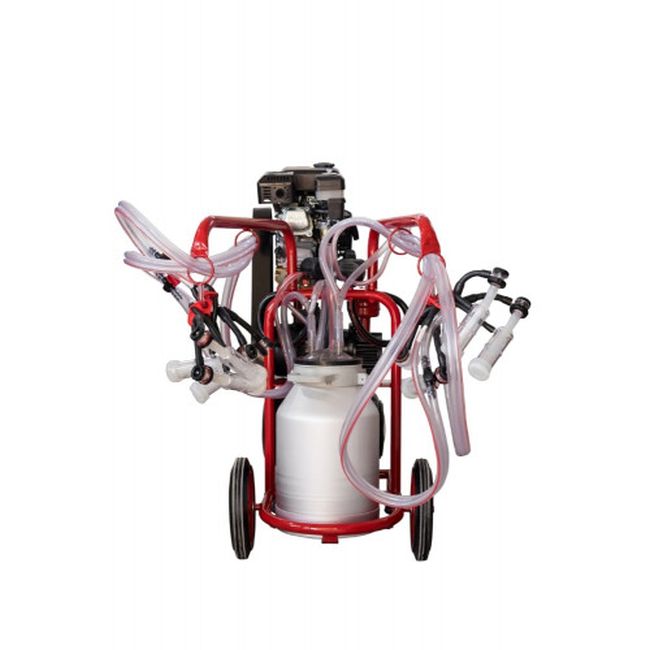 Aparat muls ovine si caprine cu motor termic Melasty cu 4 posturi si 1 bidon aluminiu (20 l), EMT