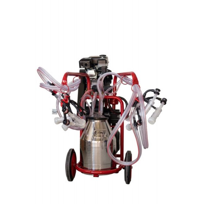 Aparat muls ovine si caprine cu motor termic Melasty cu 4 posturi si 1 inox (30 l), EMT