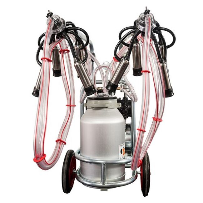 Aparat muls vaci cu 2 posturi si 1 bidon aluminiu (30 l), EMT