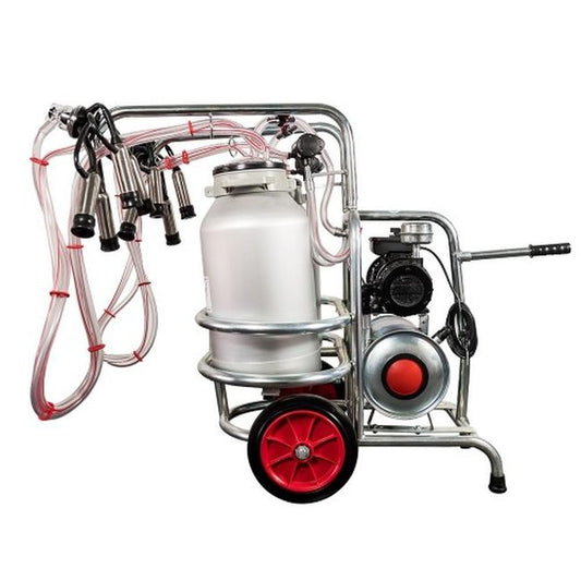 Aparat muls vaci cu 2 posturi si 2 bidoane aluminiu (40 l), EMT