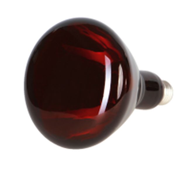 Bec cu infrarosu 150W, EF 31664