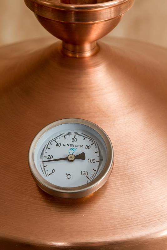 Cazan pentru tuica Basculant cu amestecator (80 l), Destilatori