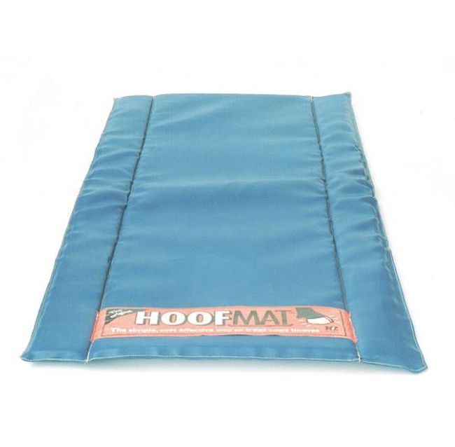 Covor premium pentru dezinfectie picioare, EF 113001