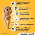 Hrana umeda conserva pentru caini adulti -vita in aspic (1200 g), Pedigree